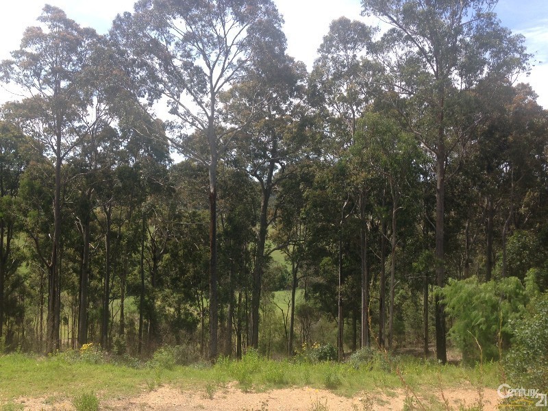 132 Ridge Rd, Corunna NSW 2546