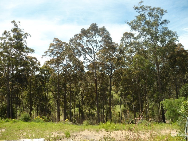 132 Ridge Rd, Corunna NSW 2546