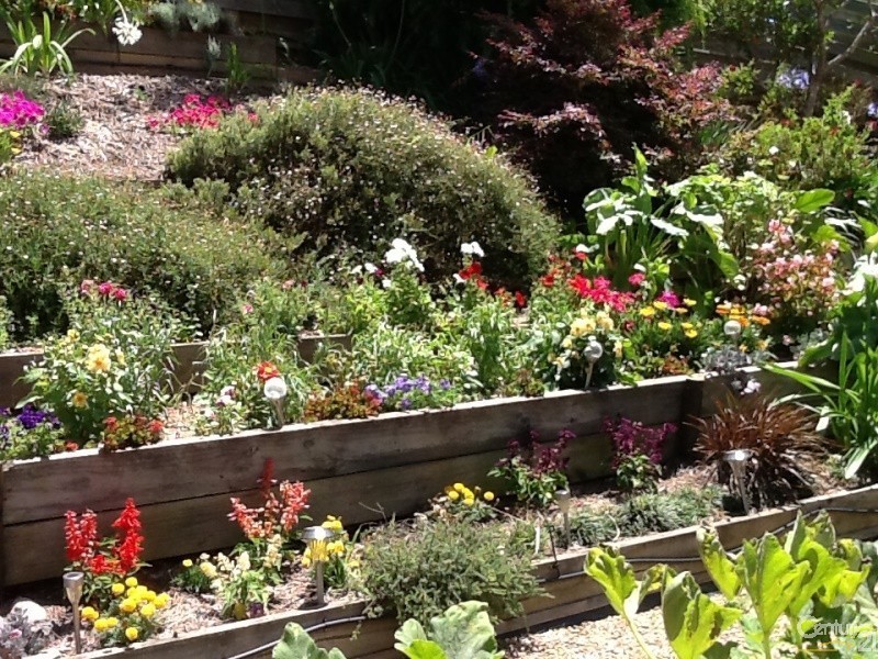 57/11 Payne Street, Narooma NSW 2546