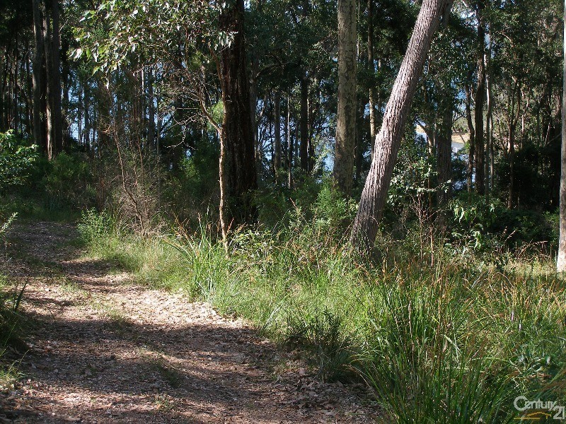 Lot 66 Flying Fox Road, Narooma NSW 2546