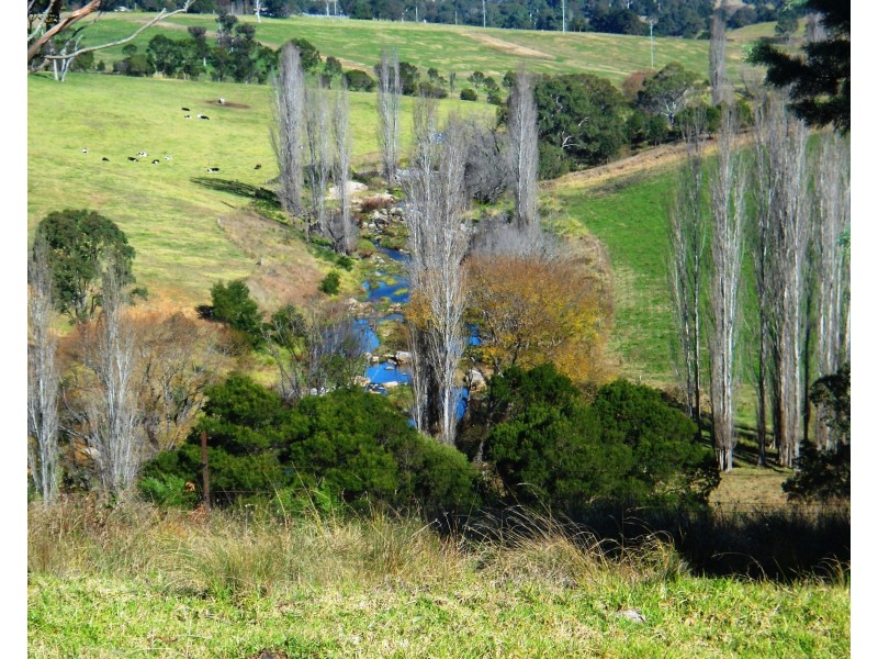 115 Verona Road, Verona NSW 2550