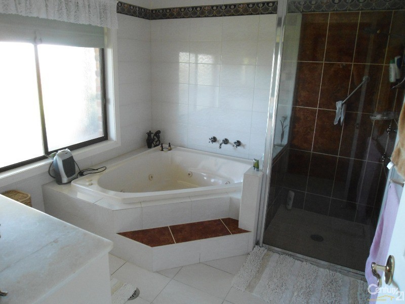 252 Wandella Road, Cobargo NSW 2550
