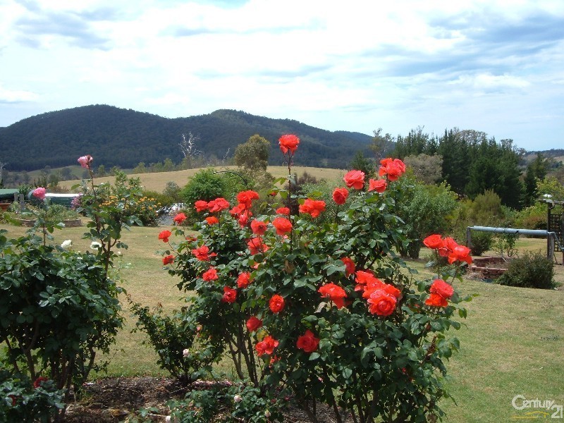 252 Wandella Road, Cobargo NSW 2550