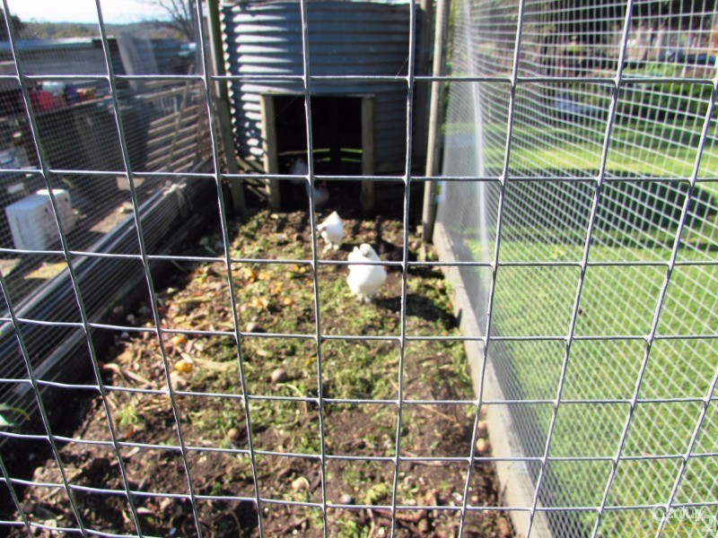 160 Princes Highway (Blue Earth Cafe), Bodalla NSW 2545