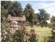 424 West Kameruka Road, Kameruka NSW 2550