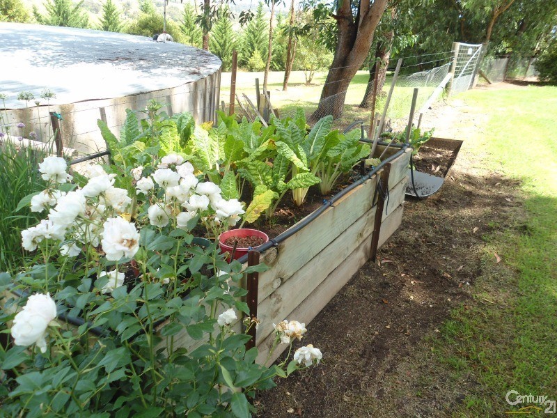 424 West Kameruka Road, Kameruka NSW 2550