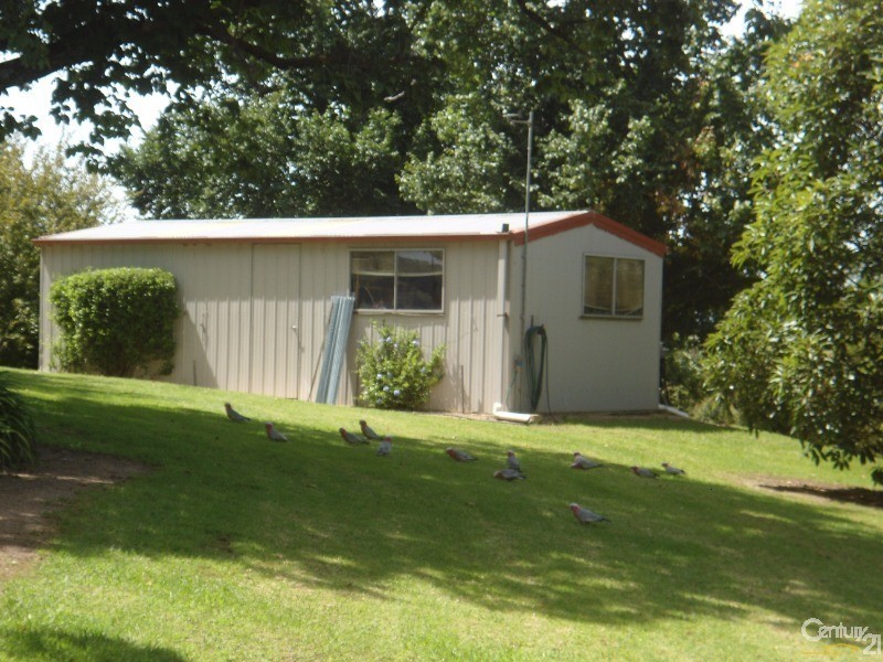 424 West Kameruka Road, Kameruka NSW 2550