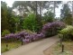 19 Kookaburra Place, Bodalla NSW 2545