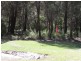 19 Kookaburra Place, Bodalla NSW 2545