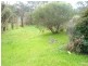 4 Bega Street, Cobargo NSW 2550
