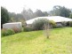4 Bega Street, Cobargo NSW 2550