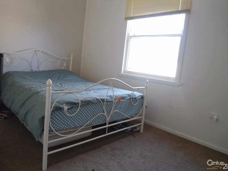 11 Cobargo Bermagui Rd, Cobargo NSW 2550