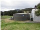 222 Warrigal Range Road, Brogo NSW 2550
