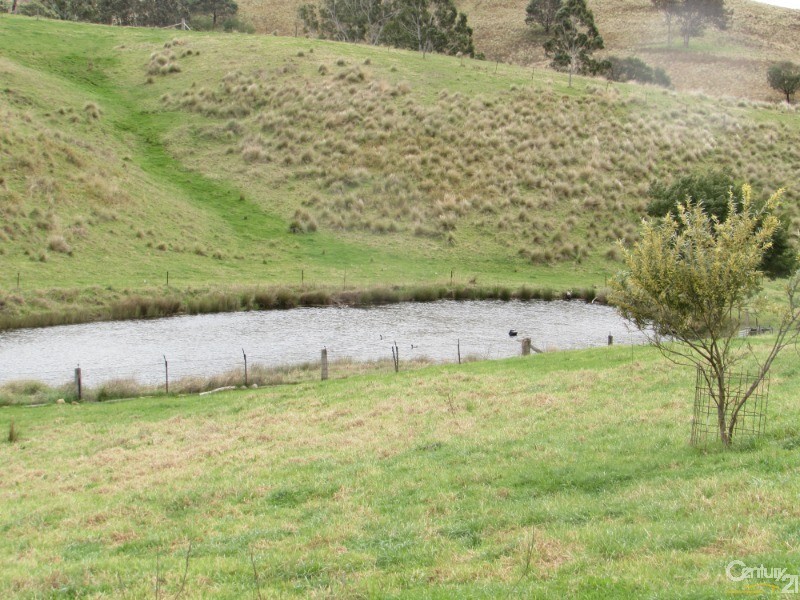 222 Warrigal Range Road, Brogo NSW 2550