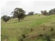 222 Warrigal Range Road, Brogo NSW 2550
