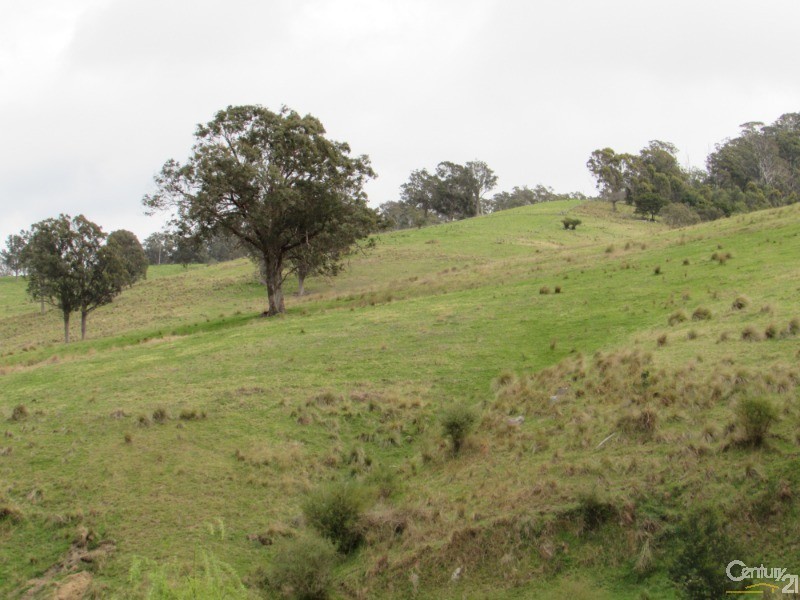 222 Warrigal Range Road, Brogo NSW 2550