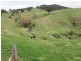222 Warrigal Range Road, Brogo NSW 2550