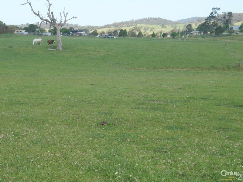 Lot 22 Barrabaroo Road, Cobargo NSW 2550