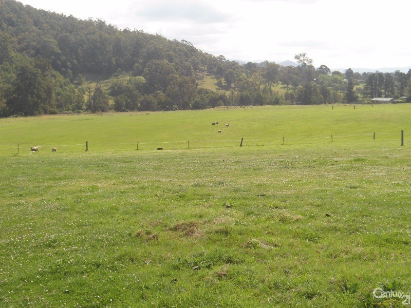 Lot 22 Barrabaroo Road, Cobargo NSW 2550