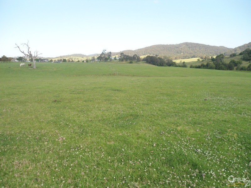 Lot 22 Barrabaroo Road, Cobargo NSW 2550
