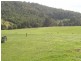 Lot 22 Barrabaroo Road, Cobargo NSW 2550