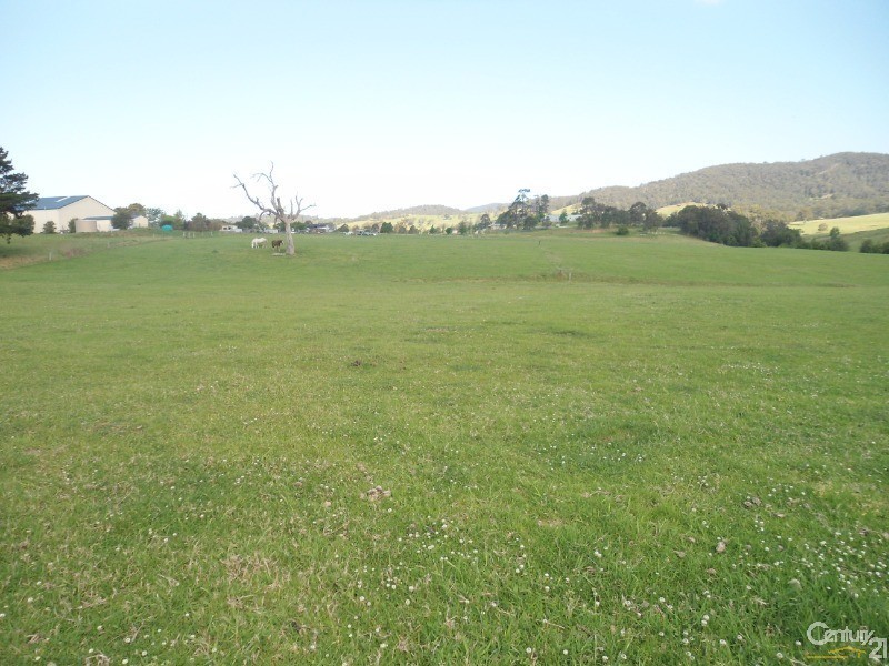 Lot 22 Barrabaroo Road, Cobargo NSW 2550