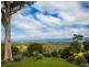 42 Batemans Road, Morans Crossing NSW 2550