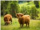 42 Batemans Road, Morans Crossing NSW 2550