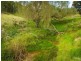 42 Batemans Road, Morans Crossing NSW 2550