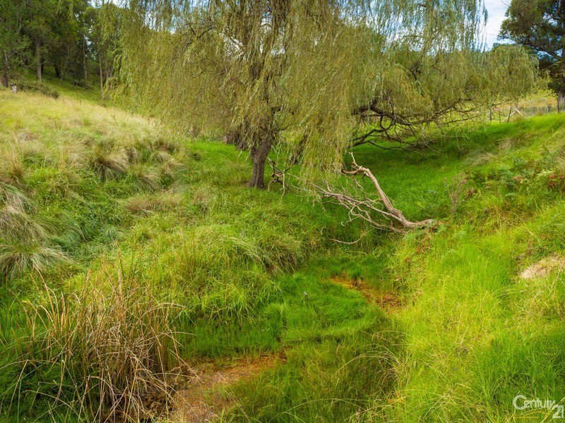 42 Batemans Road, Morans Crossing NSW 2550