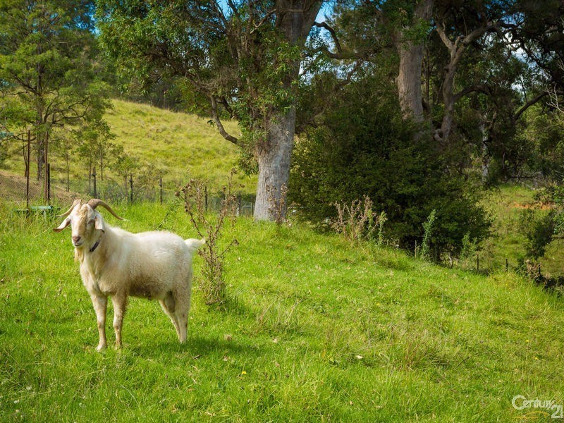 42 Batemans Road, Morans Crossing NSW 2550