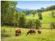 42 Batemans Road, Morans Crossing NSW 2550