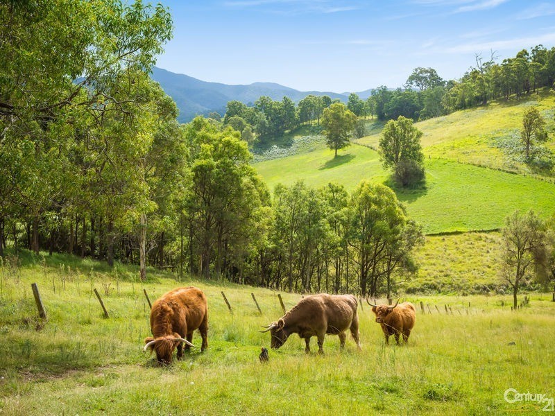 42 Batemans Road, Morans Crossing NSW 2550