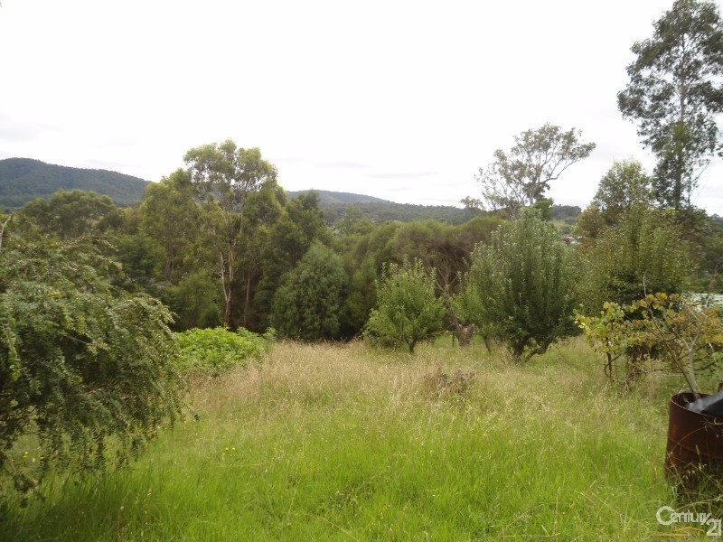 25 and 27 Bega Street, Cobargo NSW 2550