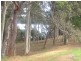 17 Dorothy Drive, Narooma NSW 2546