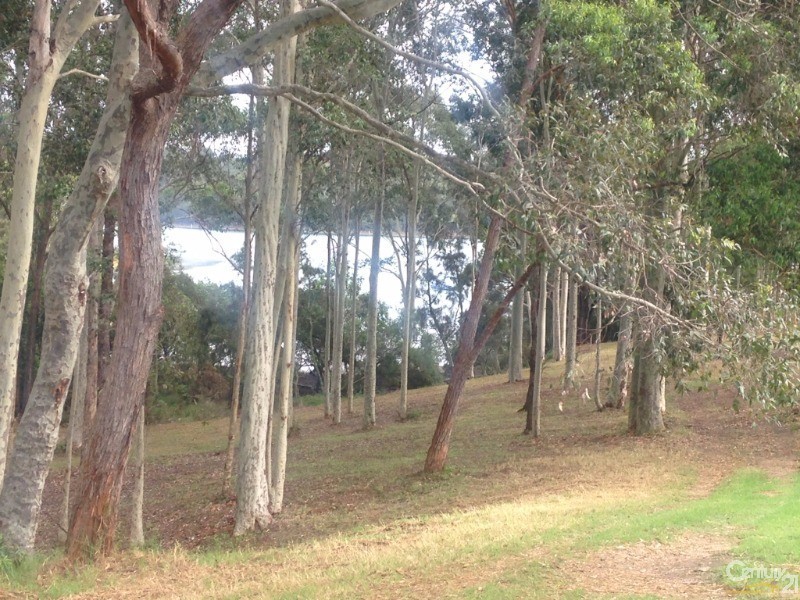 17 Dorothy Drive, Narooma NSW 2546