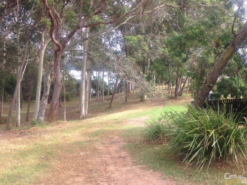 17 Dorothy Drive, Narooma NSW 2546