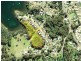 17 Dorothy Drive, Narooma NSW 2546