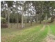 17 Dorothy Drive, Narooma NSW 2546
