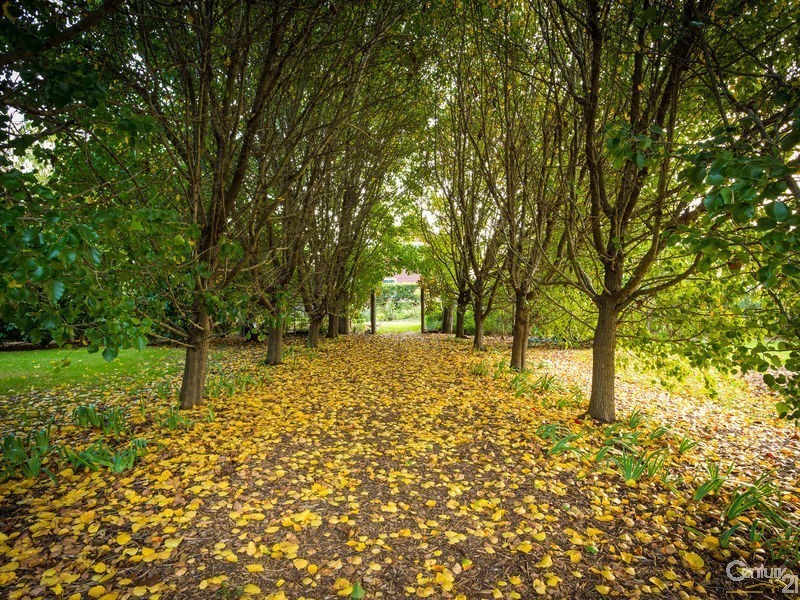 59 Princes Highway, Bodalla NSW 2545