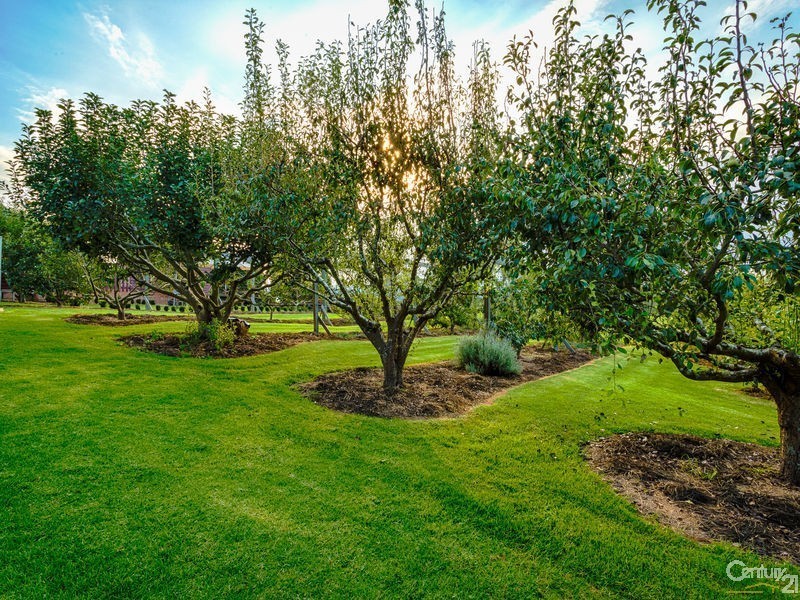 59 Princes Highway, Bodalla NSW 2545