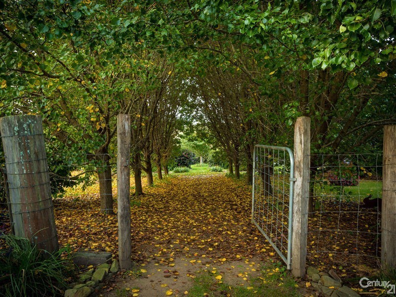 59 Princes Highway, Bodalla NSW 2545