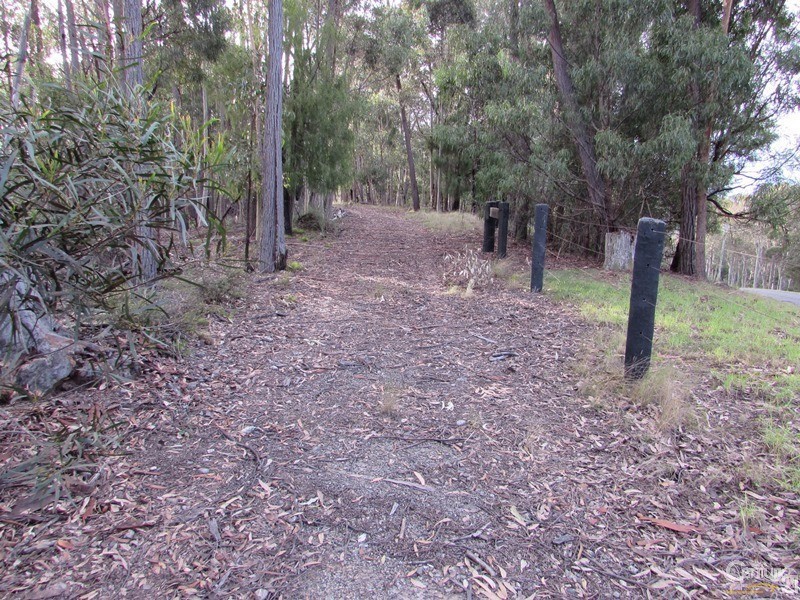 Lot 84 Rainforest Parkway, Narooma NSW 2546