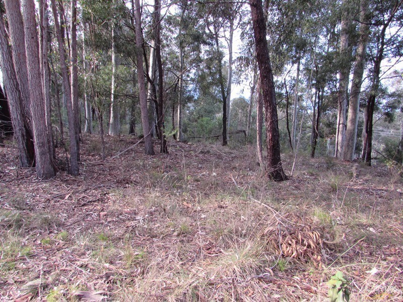 Lot 84 Rainforest Parkway, Narooma NSW 2546