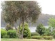 19 Attunga Street, Dalmeny NSW 2546