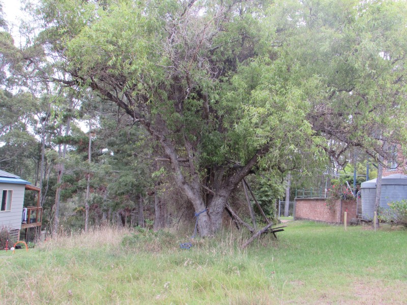 23 Goolara Avenue, Dalmeny NSW 2546