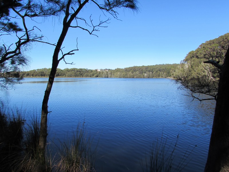 Lot 1 and 8 Dalmeny Drive, Kianga NSW 2546