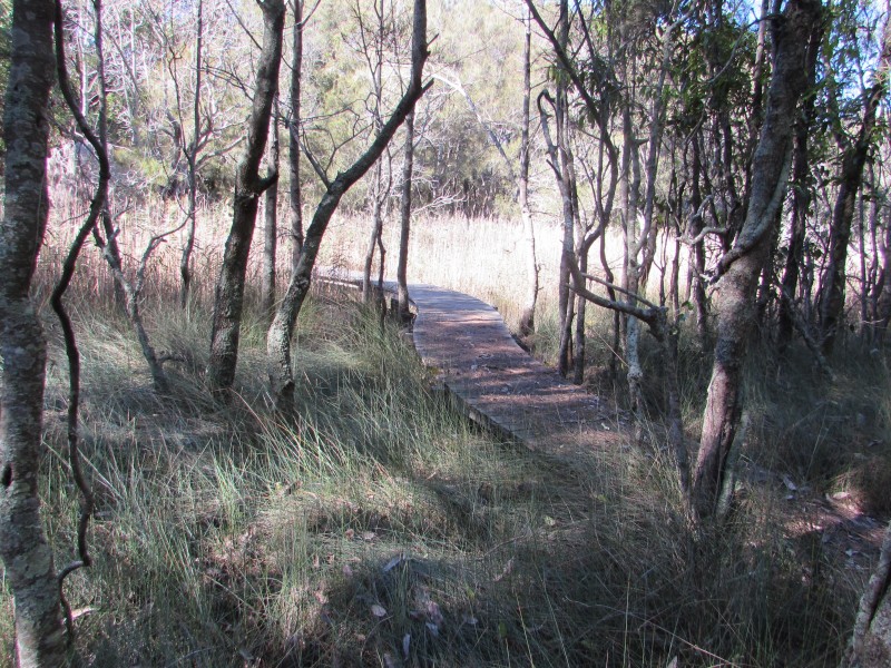 Lot 1 and 8 Dalmeny Drive, Kianga NSW 2546