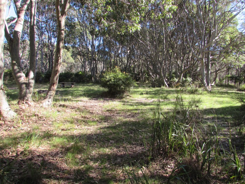 Lot 1 and 8 Dalmeny Drive, Kianga NSW 2546
