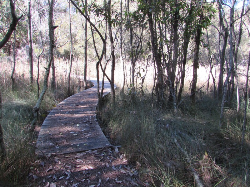 Lot 1 and 8 Dalmeny Drive, Kianga NSW 2546